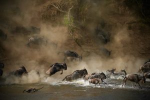 4-Day Tanzania Mid-Range Serengeti Migration Safari