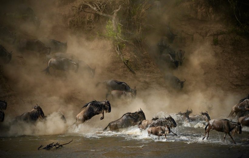 4-Day Tanzania Mid-Range Serengeti Migration Safari